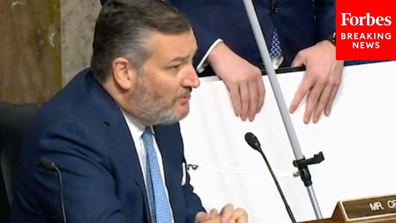 SHOCK MOMENT: Democrats Actually Burst Out Laughing When Ted Cruz Goes Off On 'Marxist' Judicial Nom