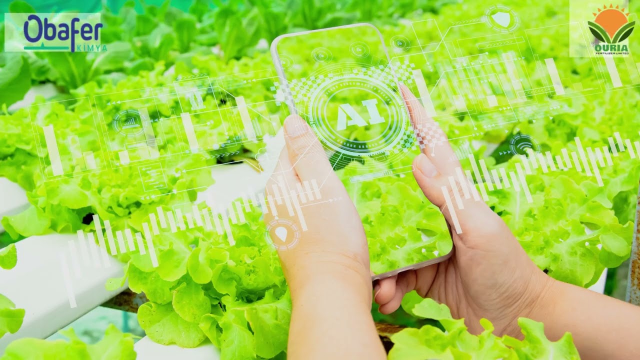 OURIA SERIES VIDEO 041_OBAFER KIMYA & OURIA FERTILIZER PARTNERSHIP