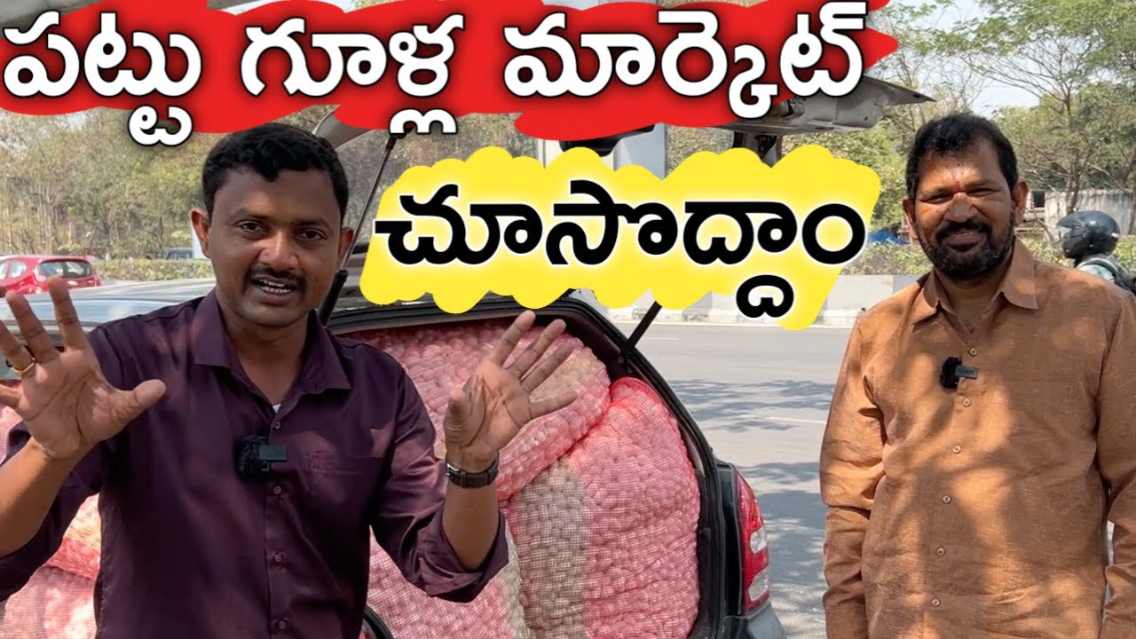 How to Sale Silk Cocoons? పట్టు గూళ్ల మార్కెట్, అమ్మకం, ధర, లాభం? | రైతు బడి