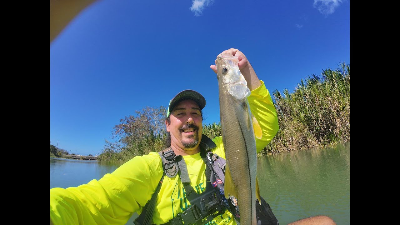 Primera pesca de róbalo a fly del 2026!  Explorando la desembocadura del Rio Grande de Arecibo!