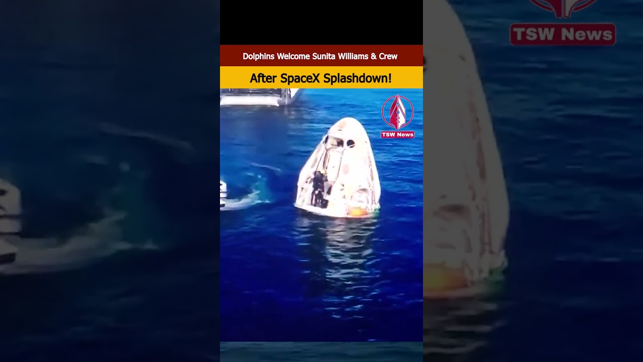 Dolphins Welcome Sunita Williams & Crew After SpaceX Splashdown! | TSW News