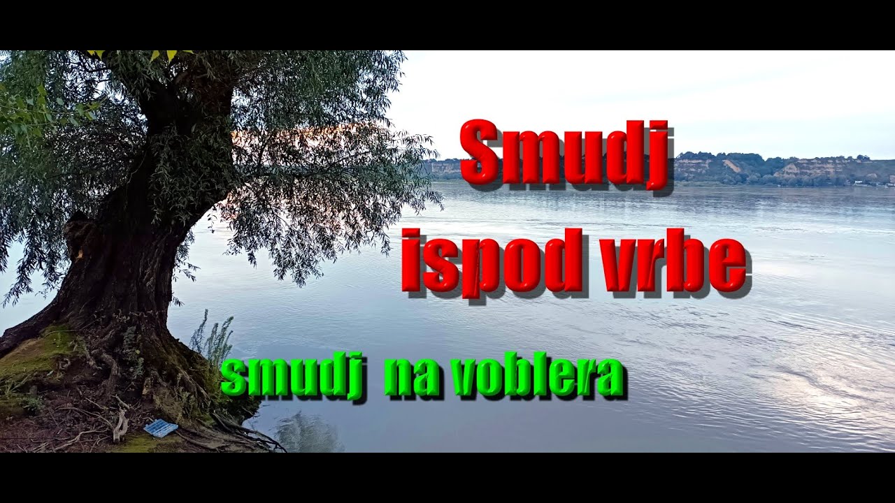 Smudj ispod vrbe - pecanje na voblera - visok vodostaj Dunava