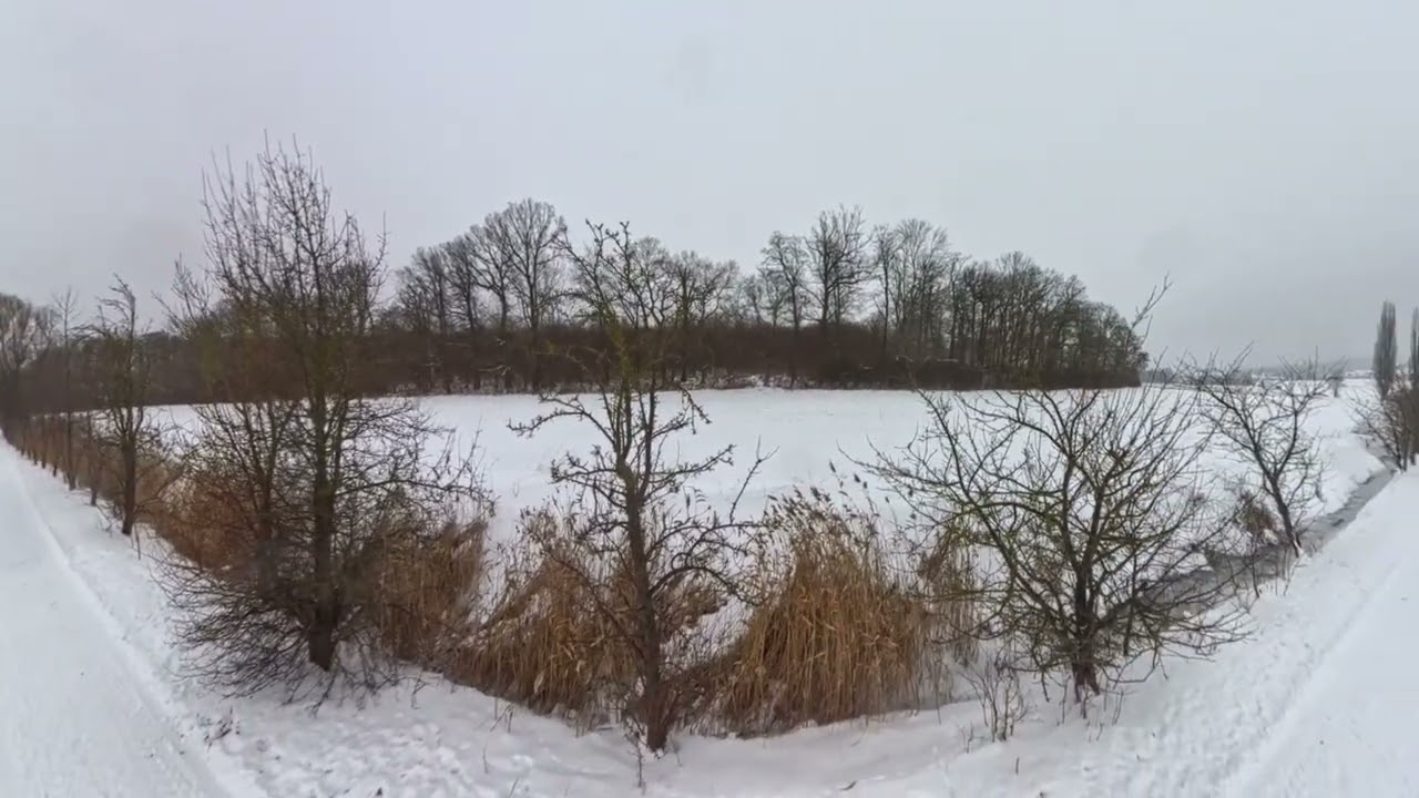 Winter Landschaftsaufnahmen. #Winter Landschaftsaufnahmen.  Veltheim (Ohe) Jahr 2026 #viral