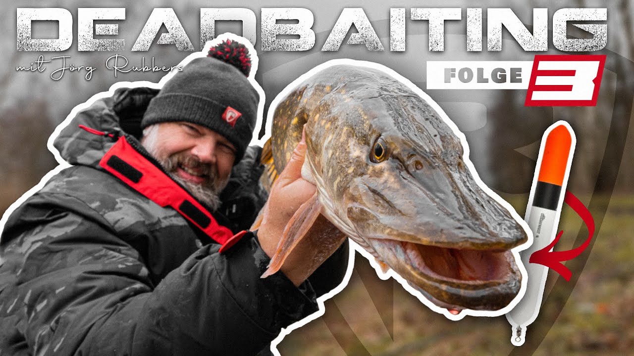 KÖDERFISCH-ANGELN mit Jörg Rubbers #3 | Erfolgreich mit der Pose in Polder und Kanal! So klappt es!