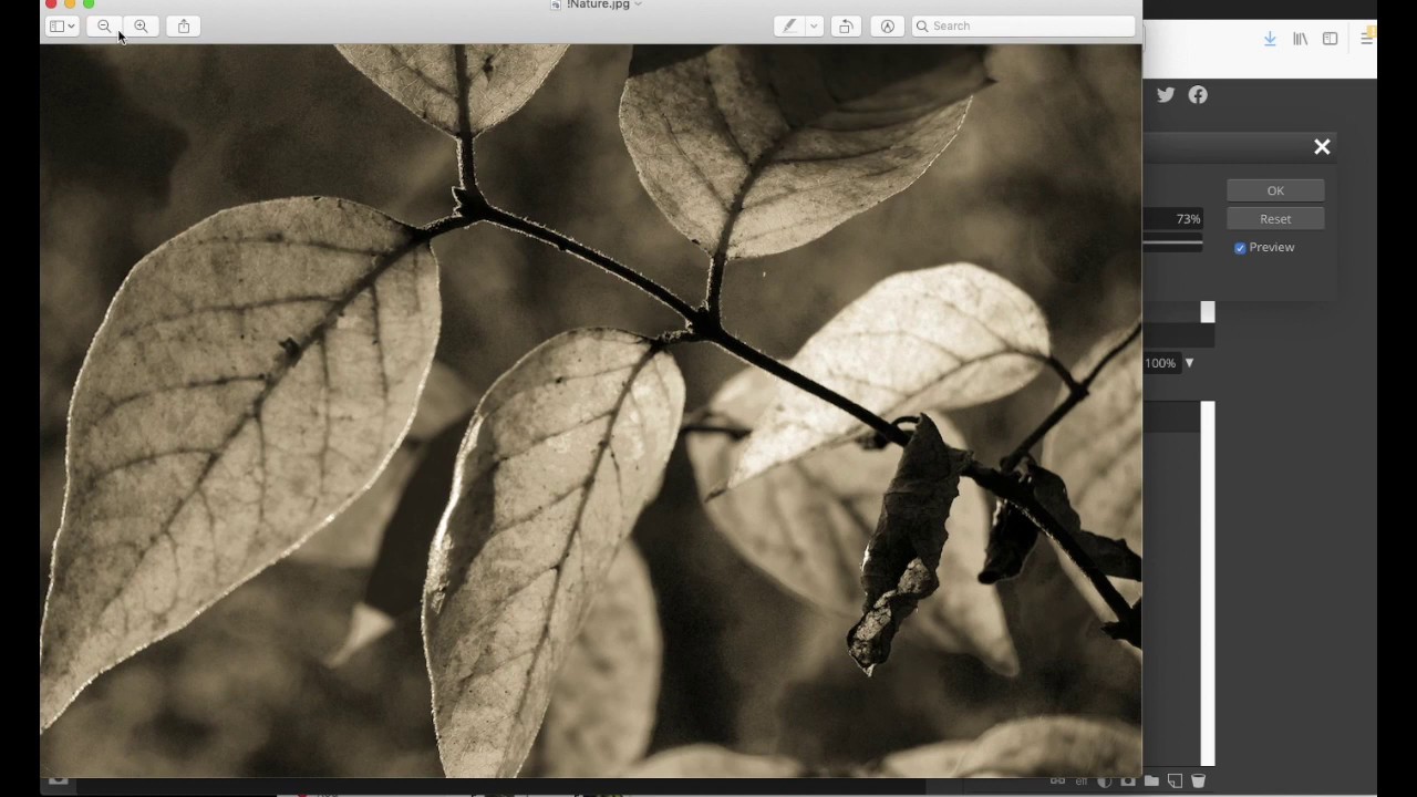 Photopea: Converting Images to Black & White