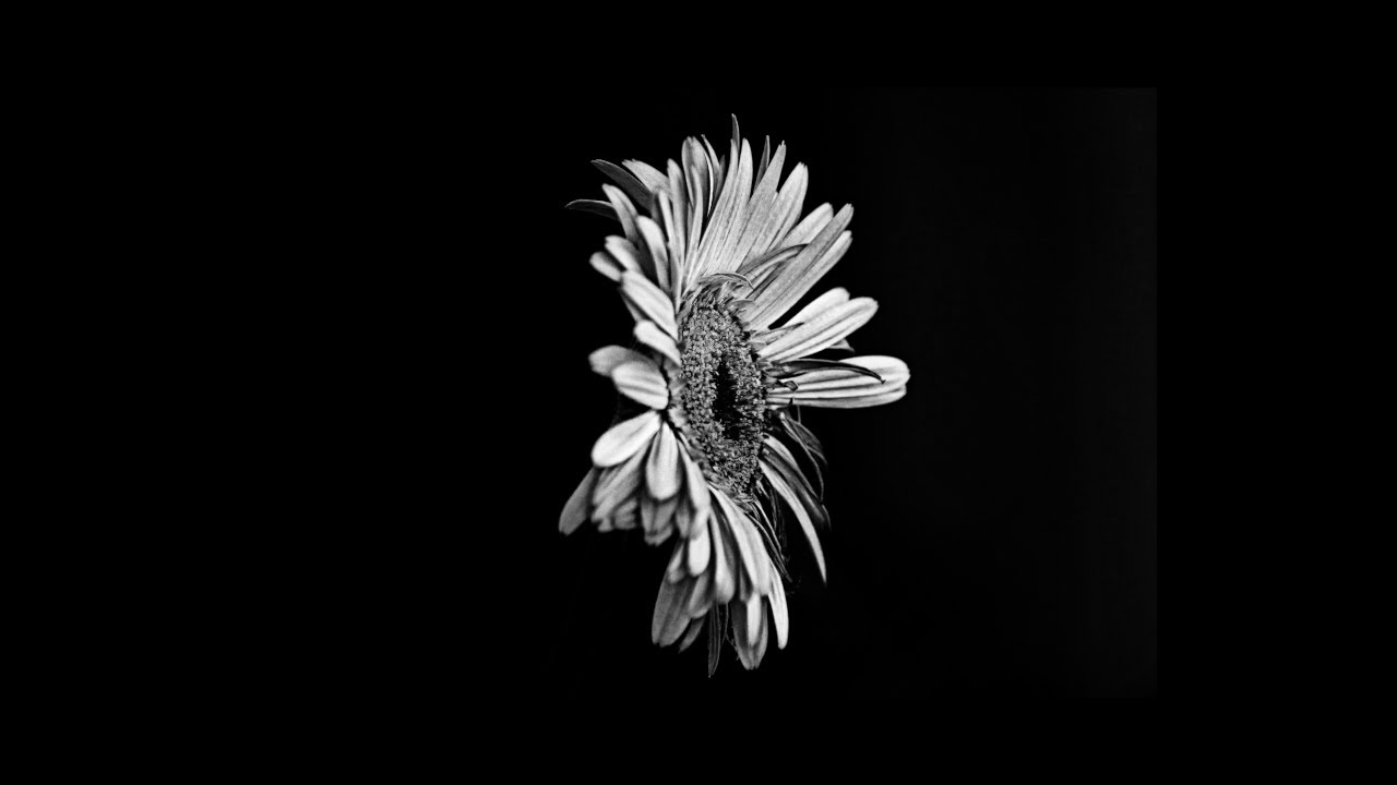 WEEP - Sad Trap Type Beat Hip Hop Instrumental 110 Bpm