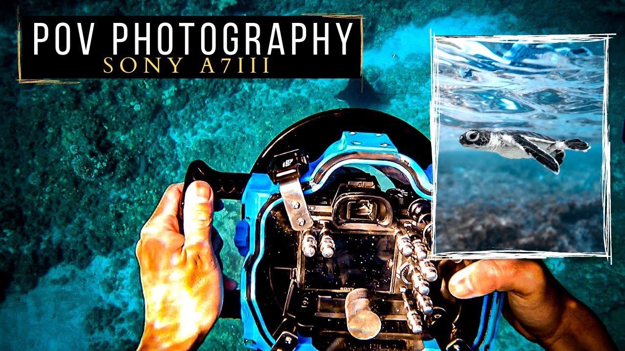 POV UNDERWATER PHOTOGRAPHY with the SONY A7III and AQUATECH HOUSING