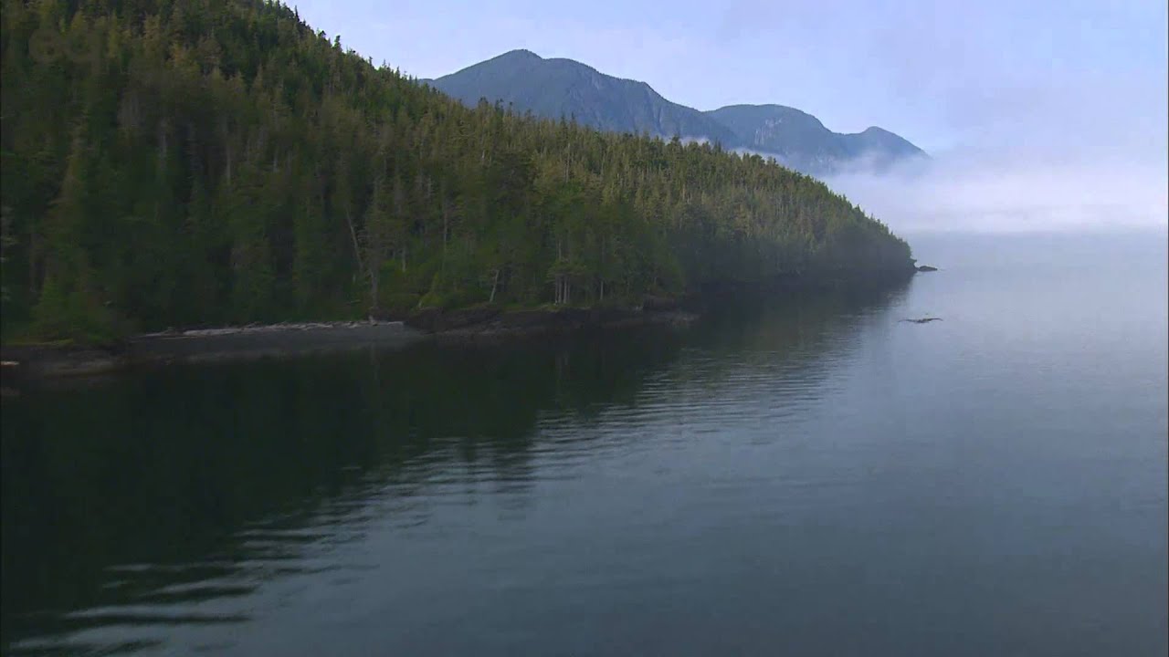 Johnstone Strait- British Columbia