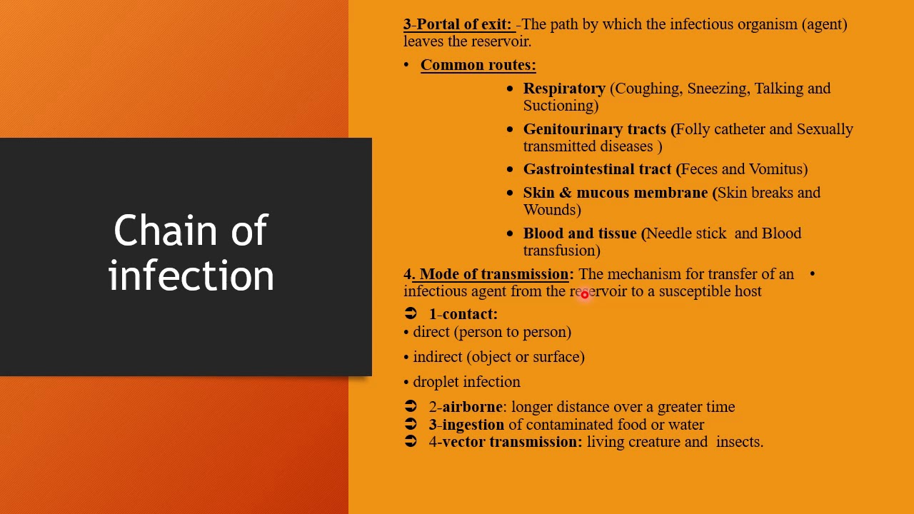 د/ مروه مسعد الفرقة الاولى infection controlمحاضرة أساسيات تمريض