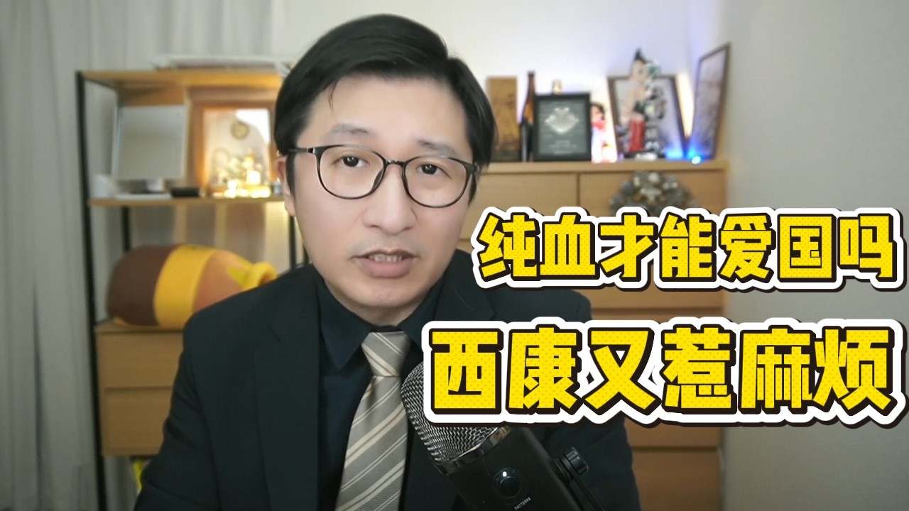 西康又惹上大麻烦，这次会被告吗？爱台湾的道德标签该不该成为商业竞争的护城河？|反应视频|王局拍案|中文自媒博主|纯血爱国|基本盘|吃瓜