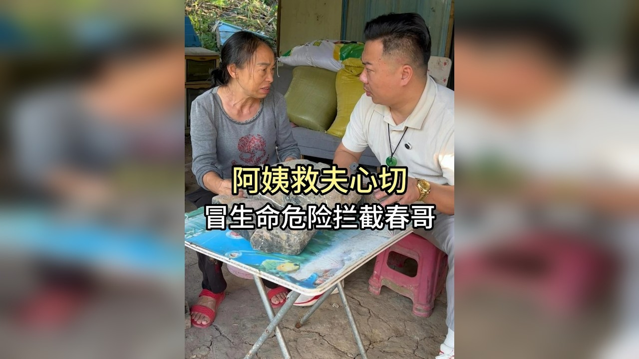 阿姨救夫心切，冒生命危险拦截春哥！