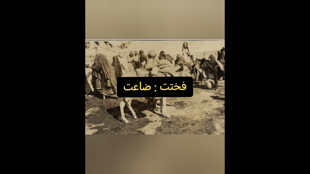 من قصص البادية وعربانها... الجزء الثاني