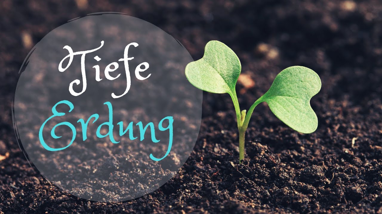 💗 Tiefe Erdung auf allen Ebenen 🌟 Sonnengott 🌟