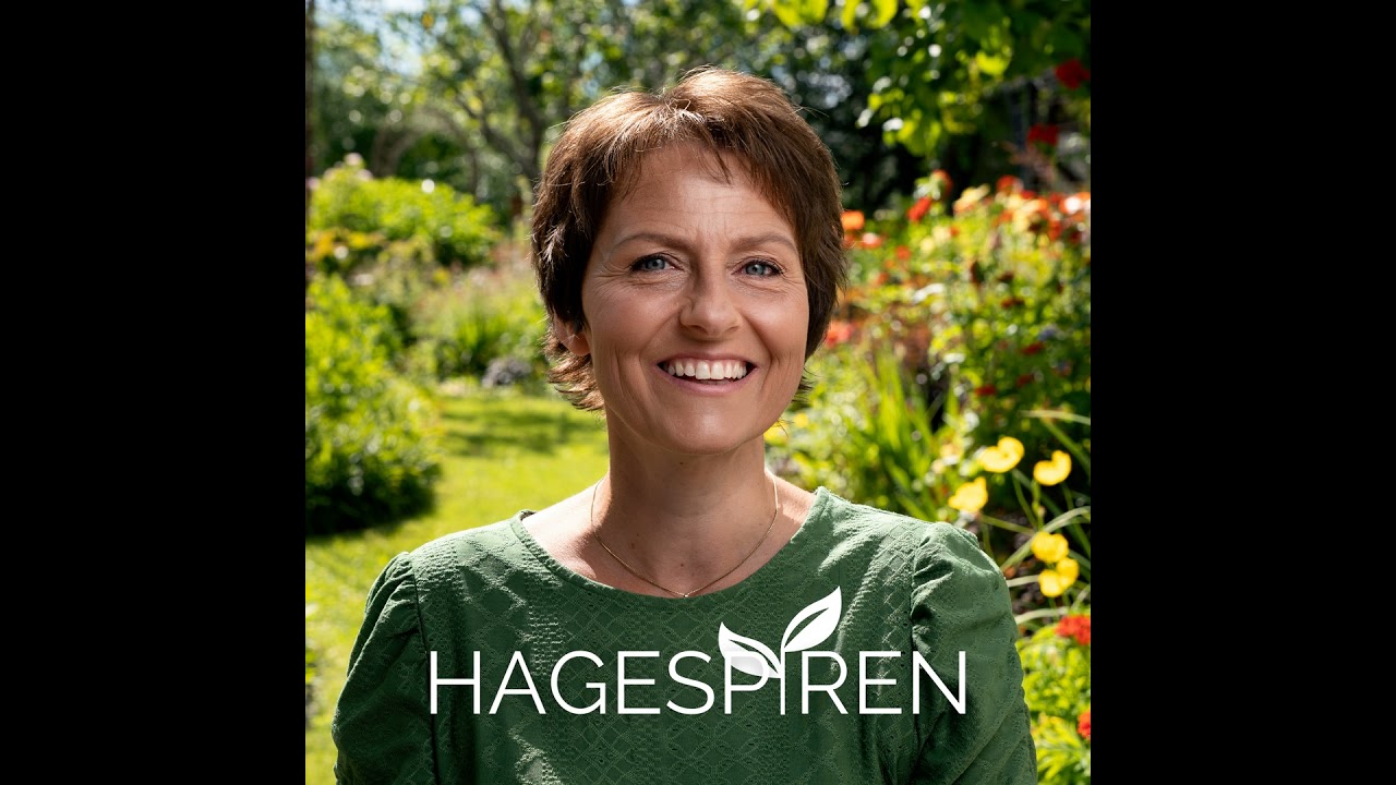 Hageglede i Januar