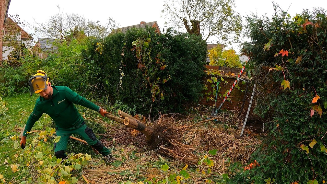 People DUMPED TRASH Into this Overgrown Yard Because They Thought it Was ABANDONED