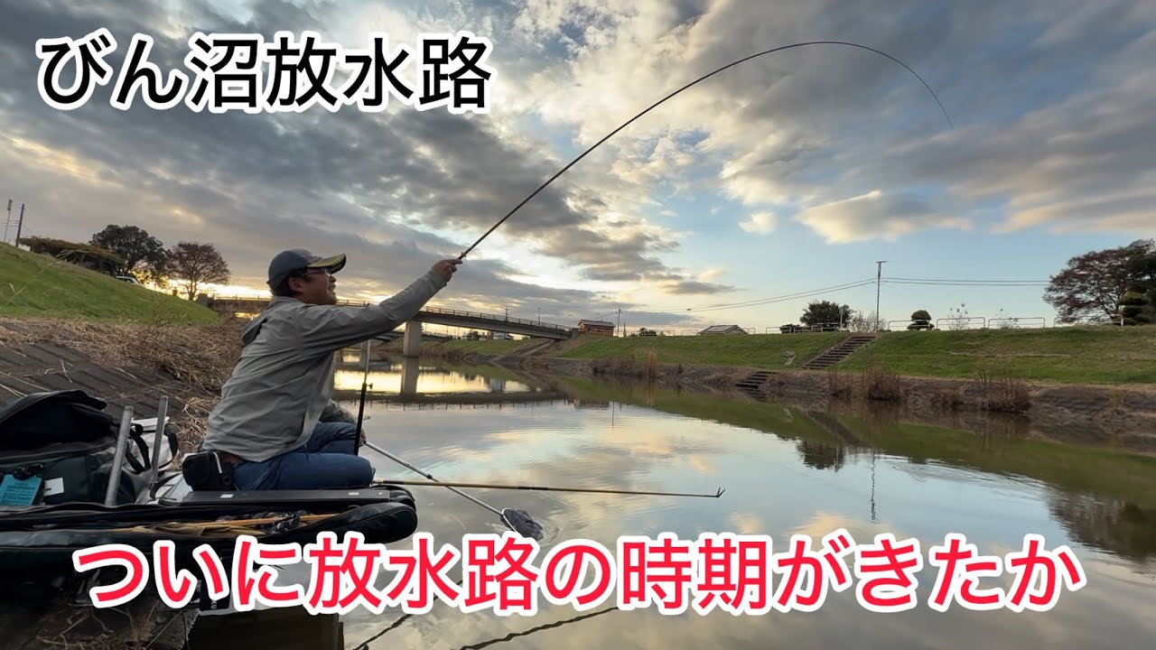 びん沼へらぶな釣り！ついに始まったか放水路！短竿の場所なのに長竿のが有利みたいw