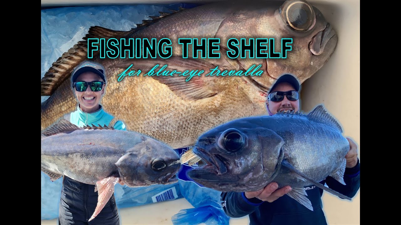 Fishing the continental shelf for Blue-eye Trevalla