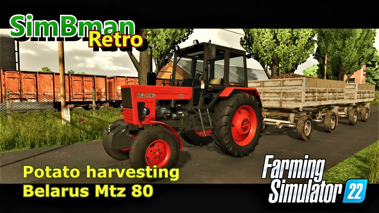 Potato harvesting Mtz 80 / Farming Simulator 22 / FS22, LS22