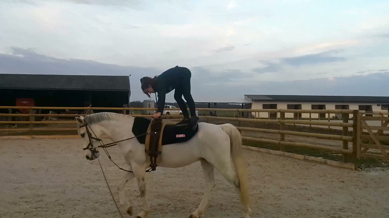 galop 4 voltige