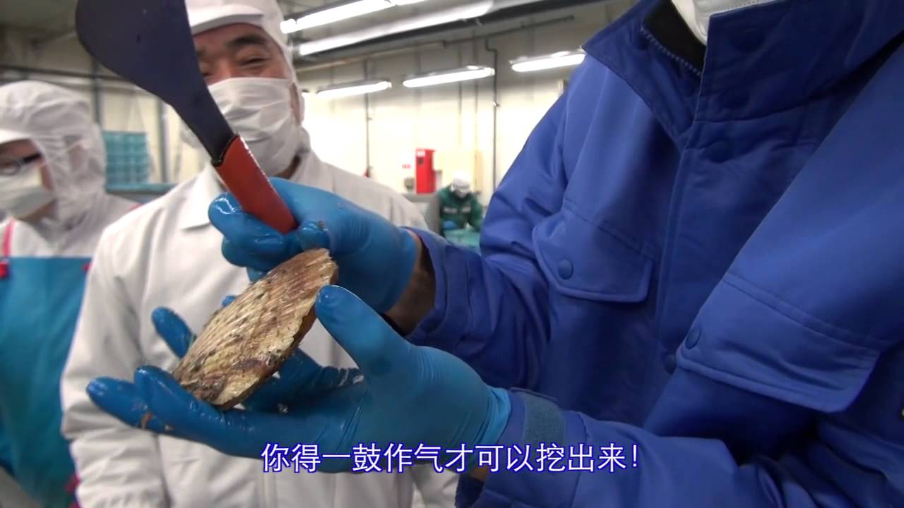 一往青森 マルイチ横浜①「会社訪問編」