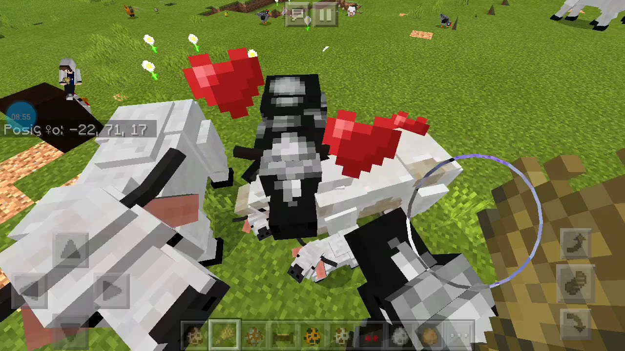 Novo addon de fazenda para minecraft adiciona galinha,vaca,galinha da angola,galo,ovelha,cabra e etc