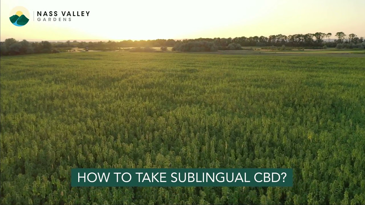 A Complete Guide to Sublingual CBD