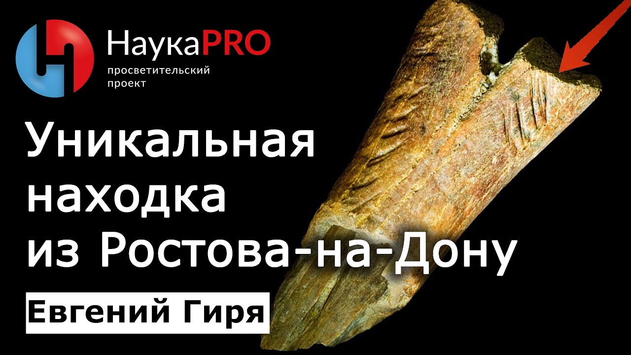 Древнейшие следы человека в Евразии возрастом 2 млн лет: кость из Ростова-на-Дону – Евгений Гиря