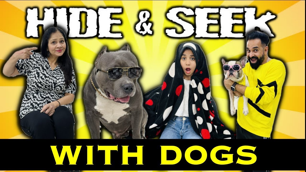 Hide n Seek with Brody Bunny 🐶 | Harpreet SDC | Funny Dog Videos