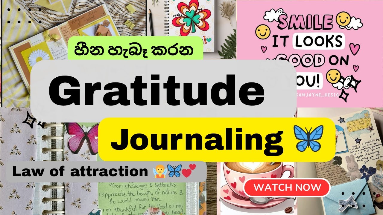 මම journal එක ලියන්නේ මෙහෙමයි..! 📝🤍🦋| Gratitude Journal 💗🪬🧚| Law Of attraction ♥️🖇️🧿🪬