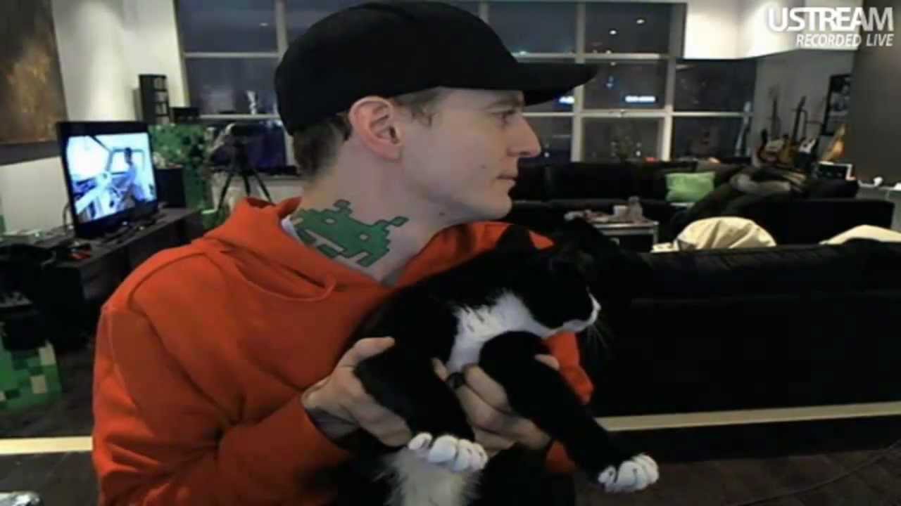deadmau5 | Meowingtons Gets Down!
