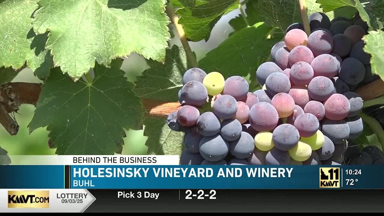 Winery in Buhl boasts a wide variety of drinks and scenic spots for sipping
