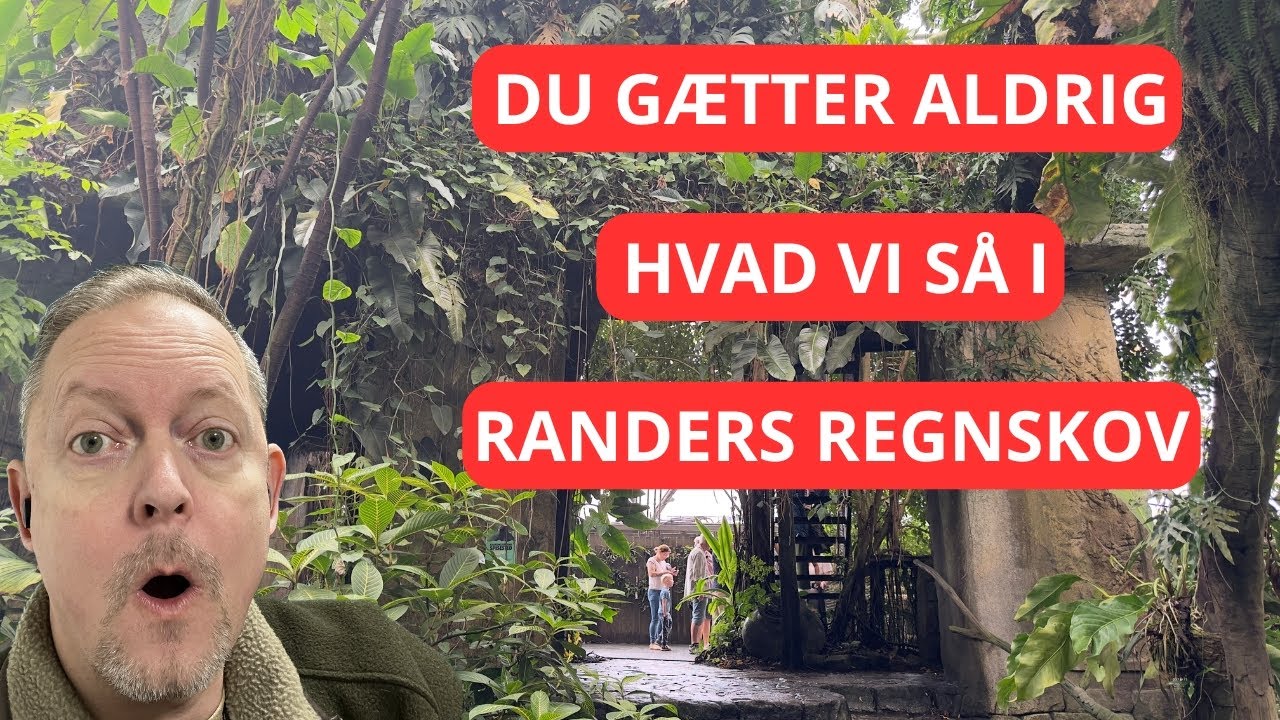 DU GÆTTER ALDRIG, hvad vi så i Randers Regnskov! 😮