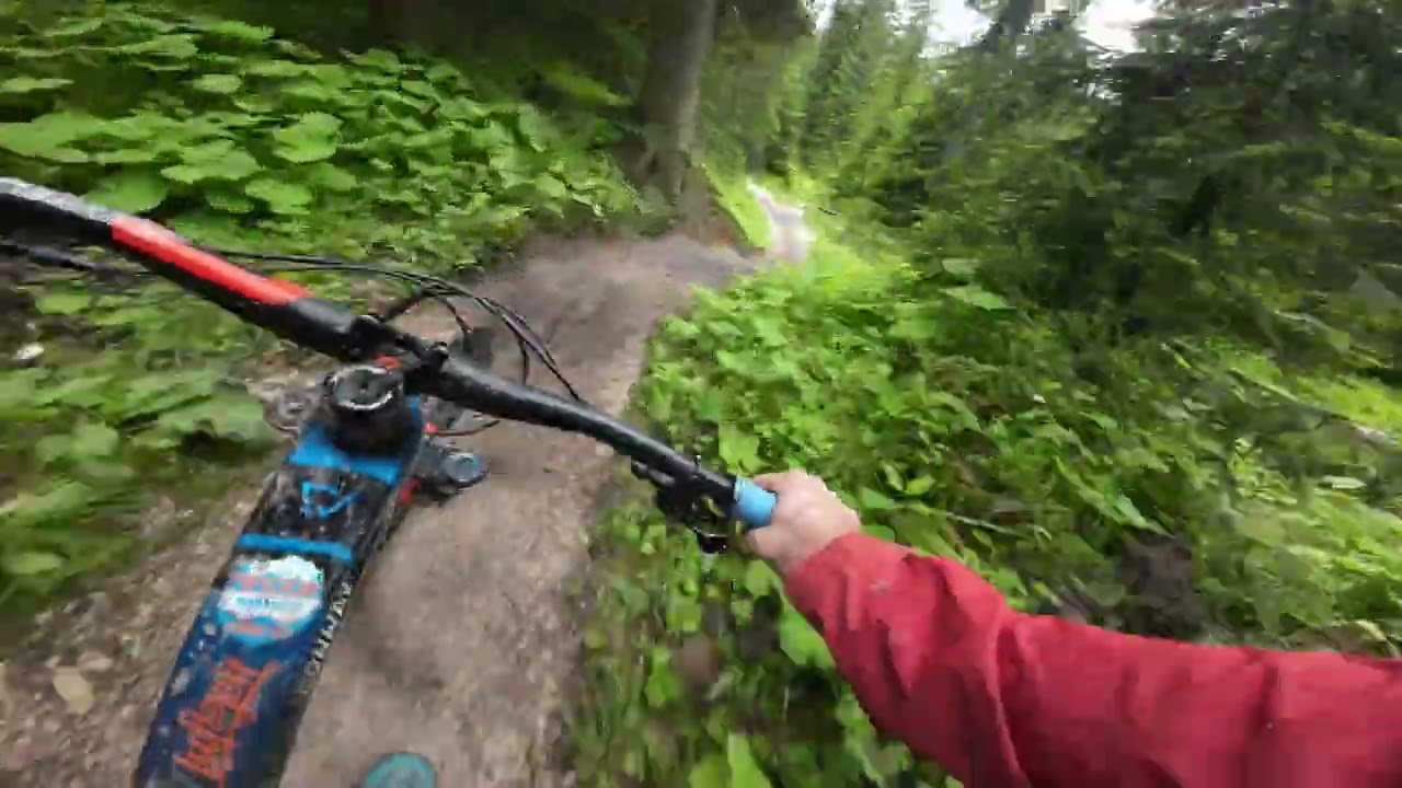 Carrezza Trail | Gimbal & dji action 2