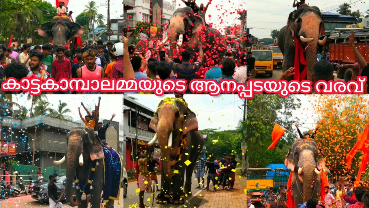 കാട്ടകാമ്പാലമ്മയുടെ ആനപ്പടയുടെ വരവ് || കാട്ടകാമ്പാൽ പൂരം 2023