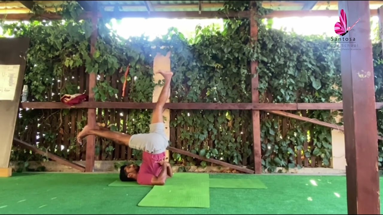 Santosa Yoga School | Sarvangasana & Halasana!