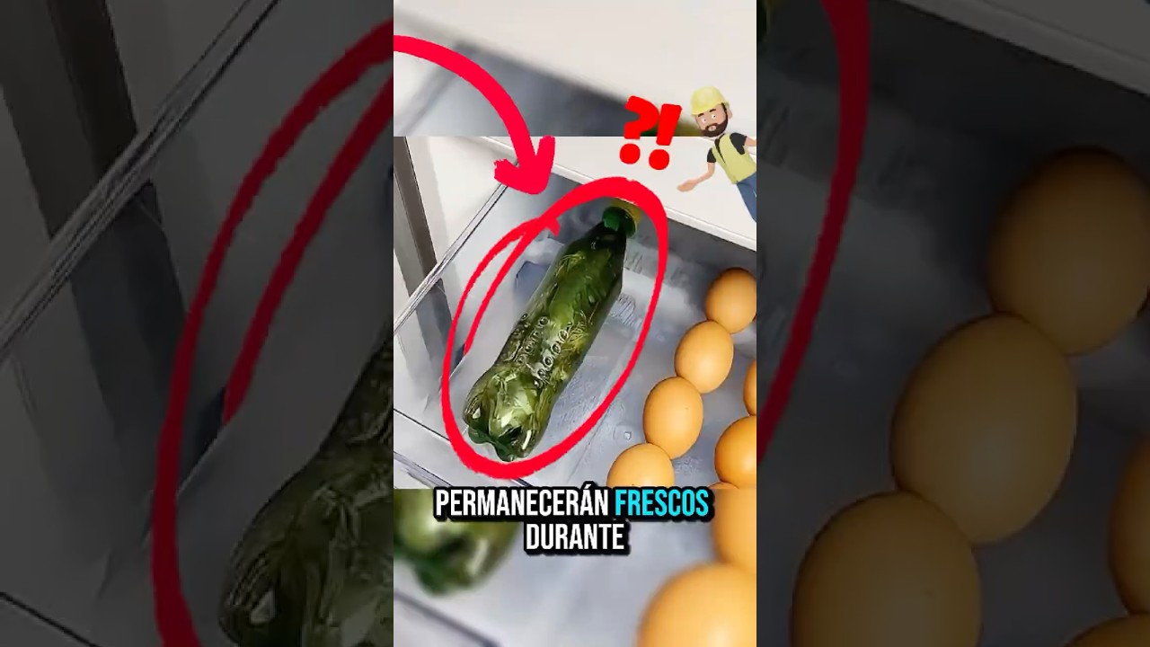 12 trucos pr&aacute;cticos que cambiar&aacute;n tu vida diaria!