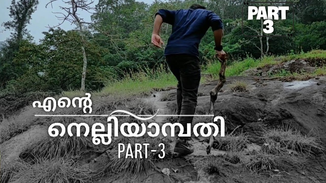 Nelliyampathy tourist places | നെല്ലിയാമ്പതി travel vlog part-3 | Best places in nelliyampathy