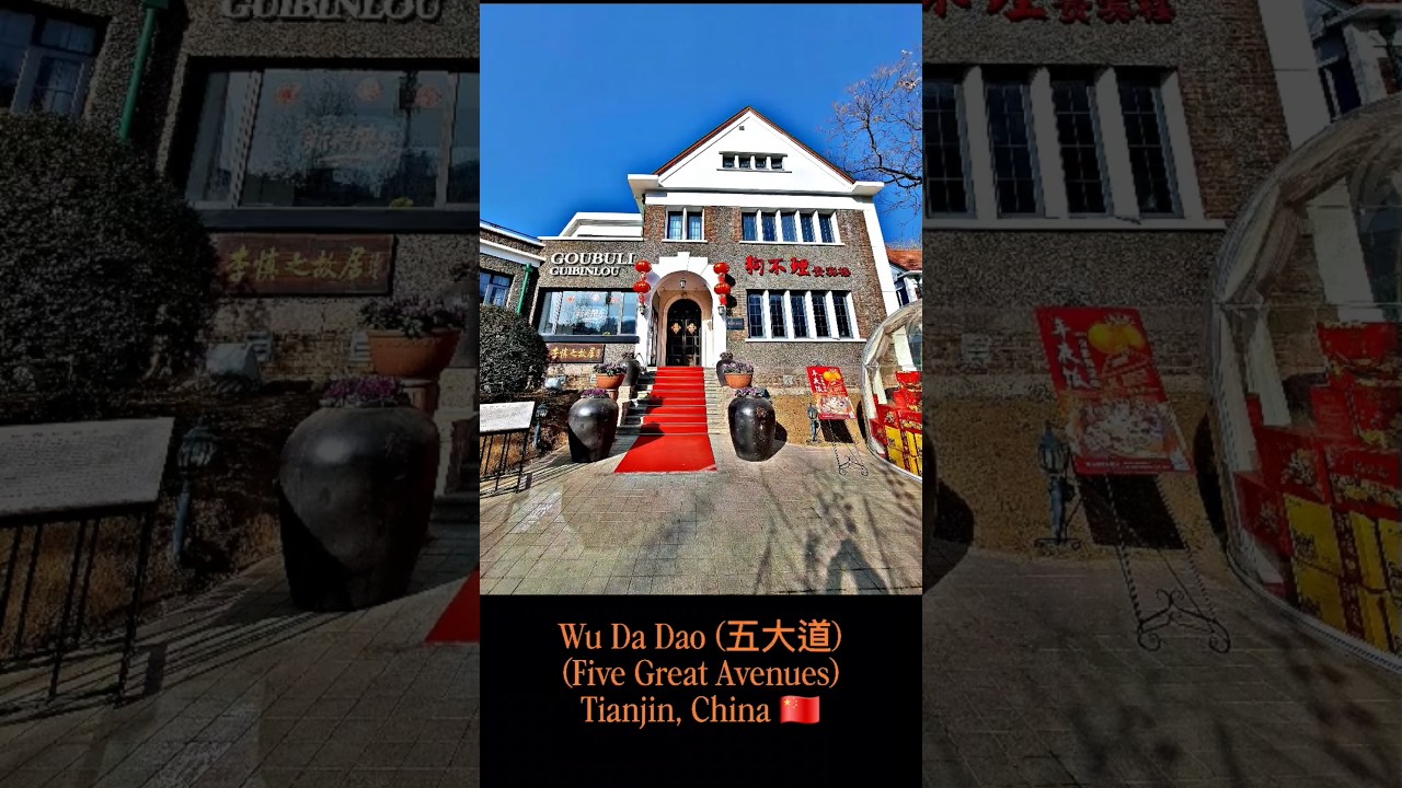 Wu Da Dao, Five Great Avenues, Tianjin, China 🇨🇳 #China #tianjin