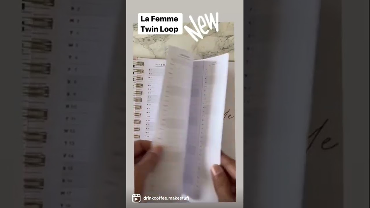 La Femme Twin Loop 18-month vertical planner from #thehappyplanner from Michaels