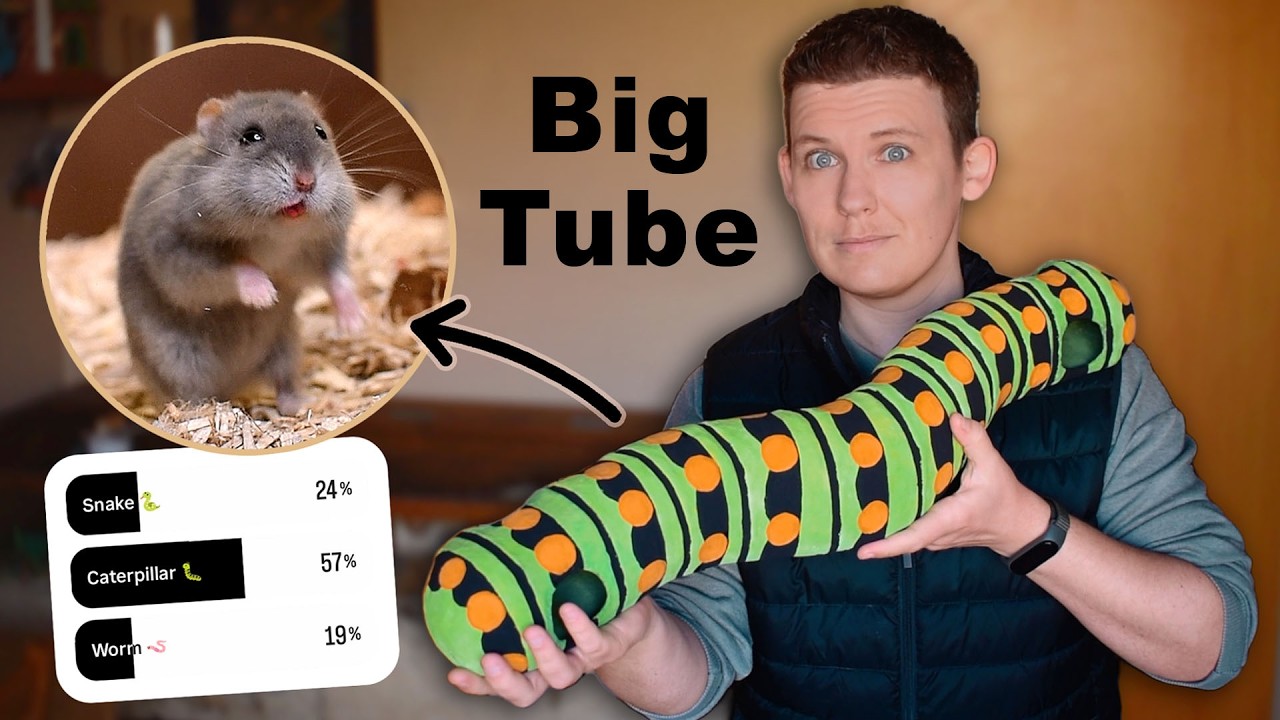 Я сделал гигантскую гусеницу для своего хомяка.