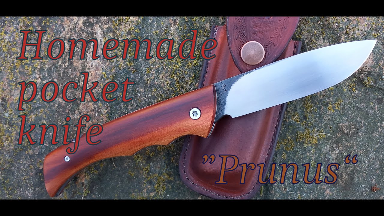 Homemade pocket knife with backlock.N690,Prunus domestica