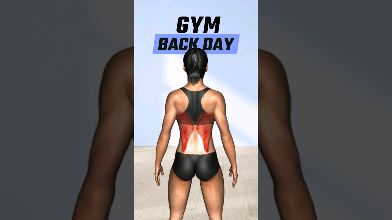 DÍA DE ESPALDA PARA MUJERES EN EL GYM. 😤✨️