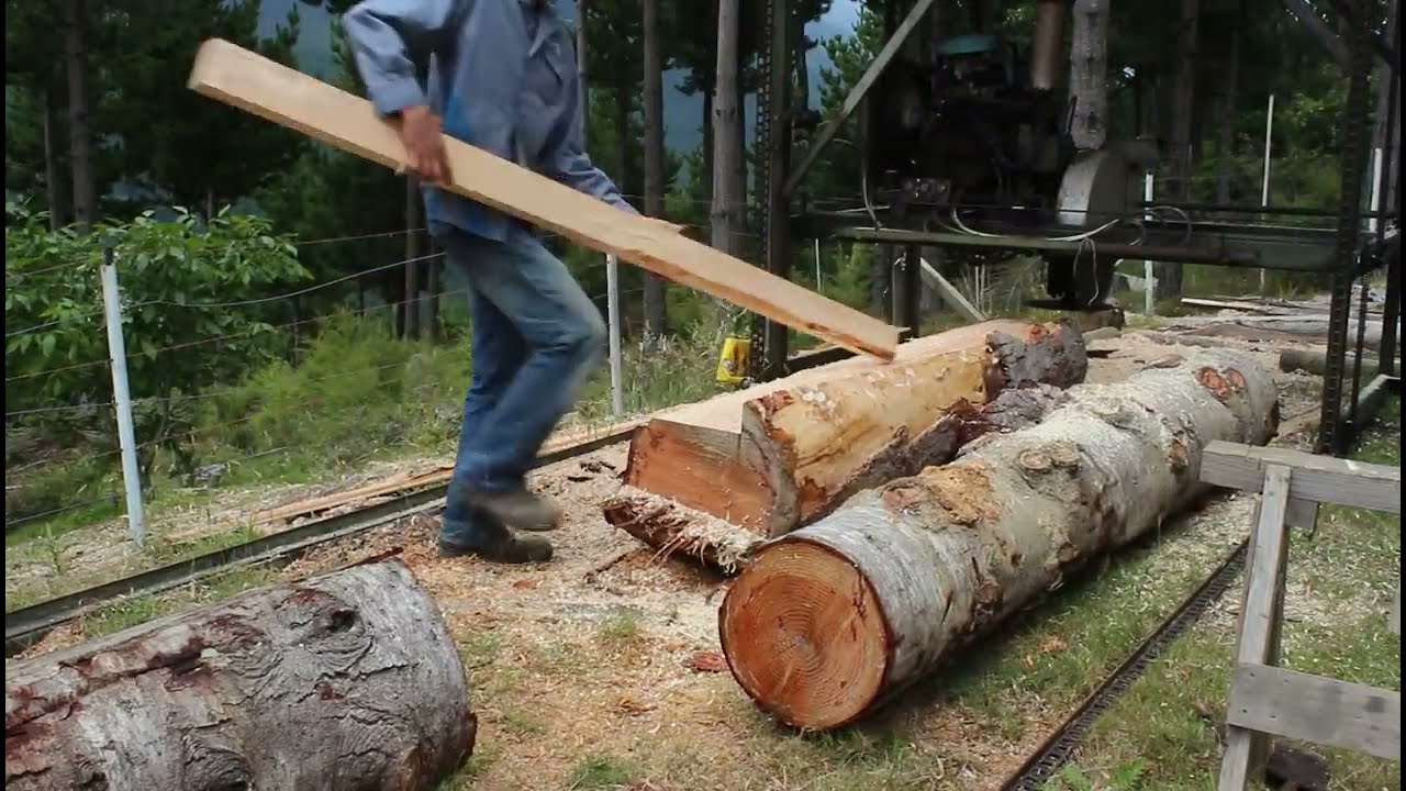 Home made twin blade sawmill in action