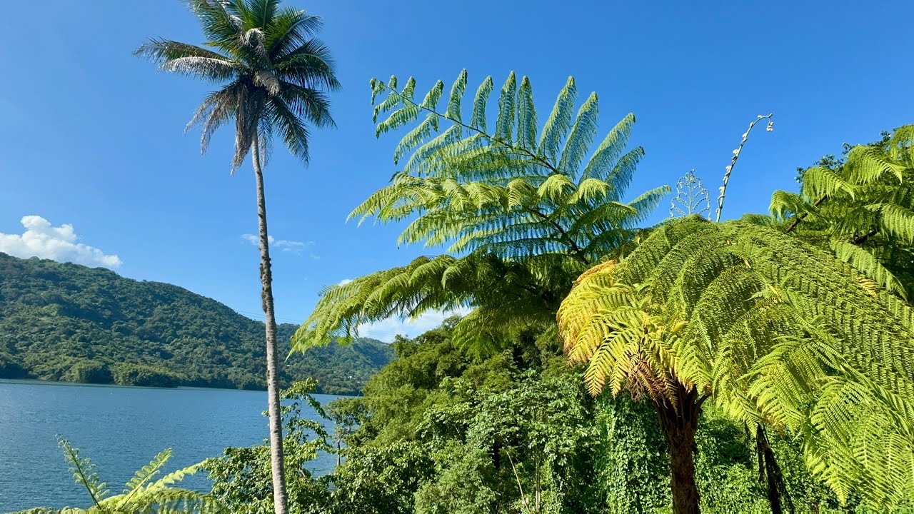 Aventura Rural: Encontrando Cacao Silvestre 