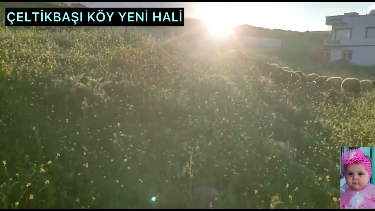 ÇELTİKBAŞI KÖY AWTE