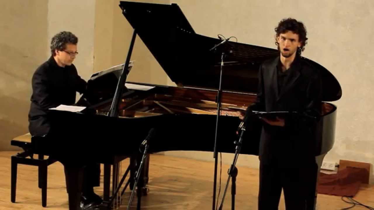שר היער