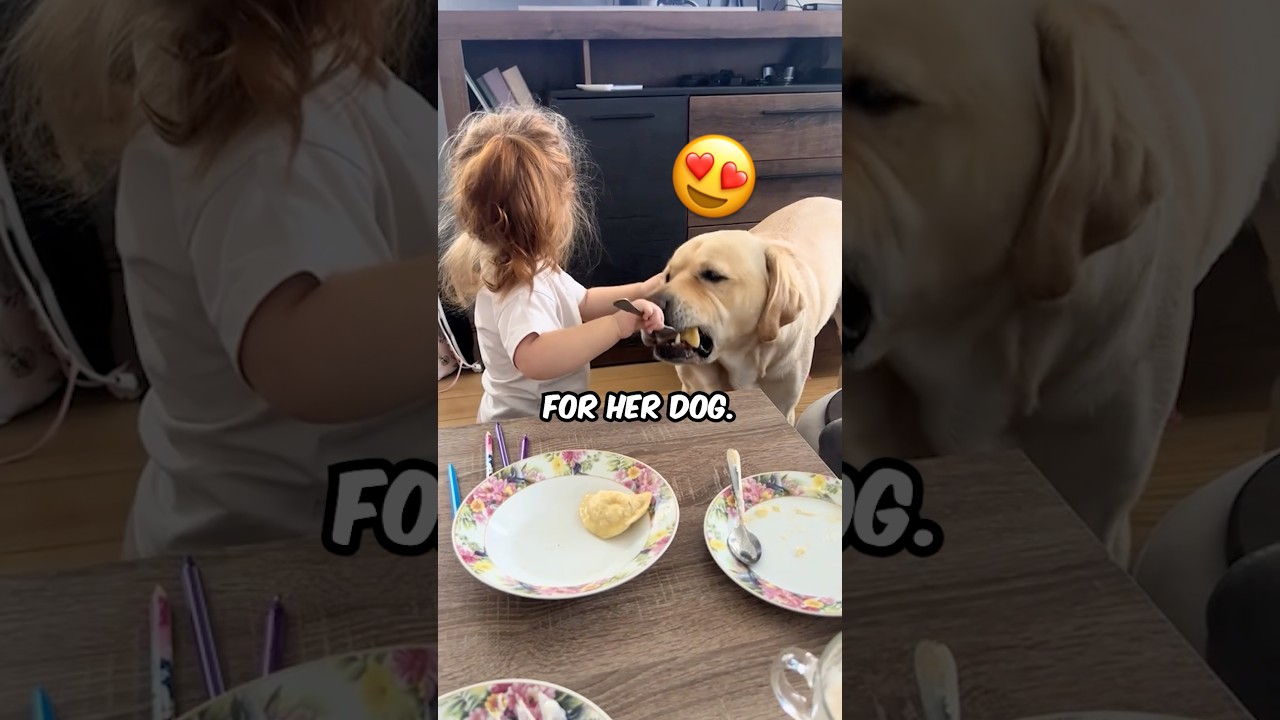 This little girl shared her love and food with her dog ❤️