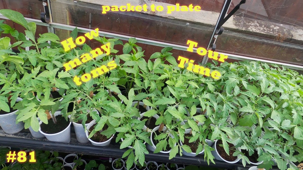 #81 Garden tour june | plus more | gardening with chris