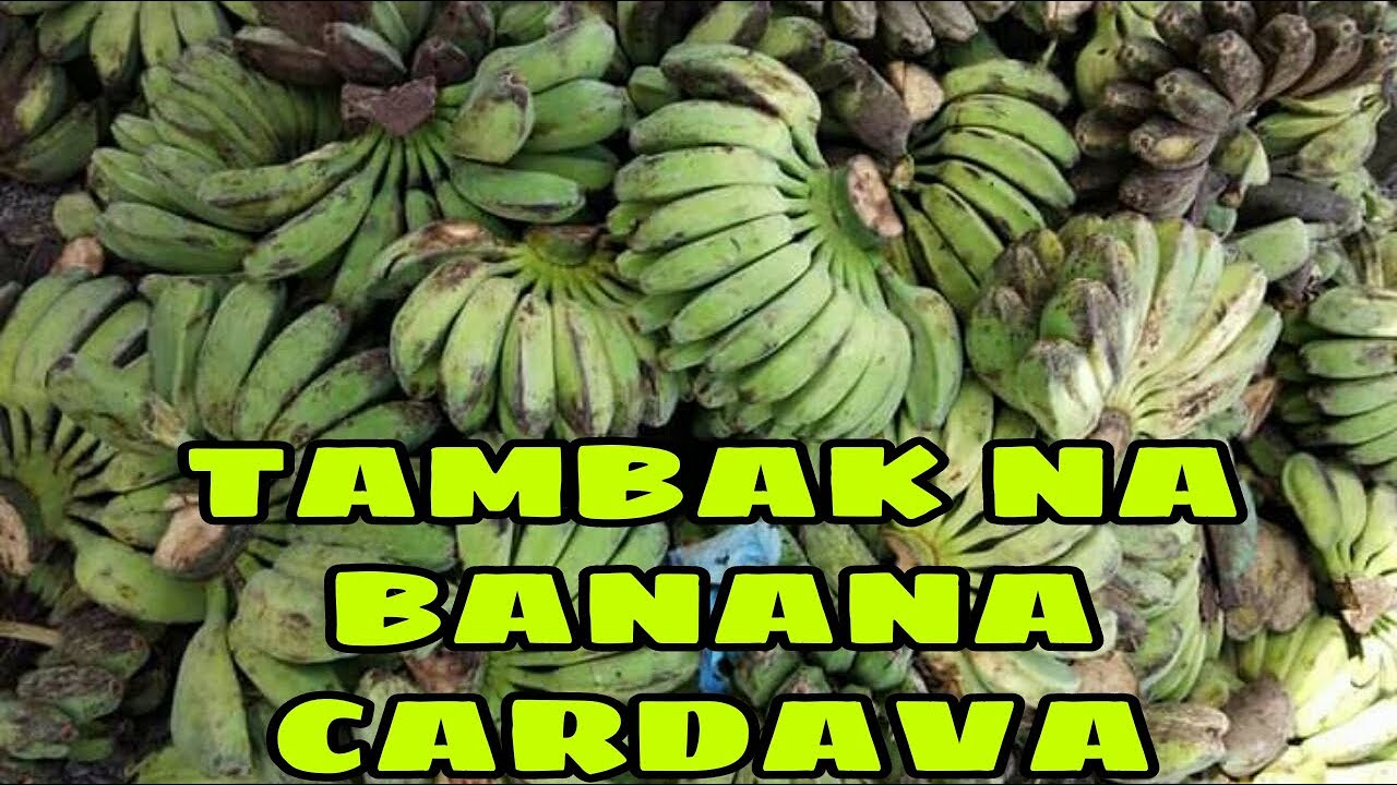 Harvesting Bananas Cardava in Philippine.How to Harvest Bananas Cardava In home Town.| KASIPAG VLOGS