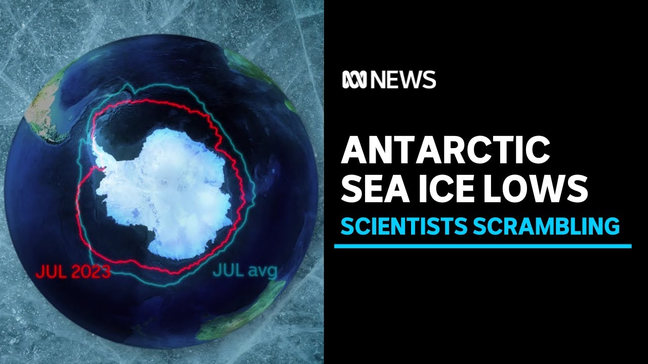 Antarctic sea ice levels dive in 'five-sigma event', experts flag worsening consequences | ABC News